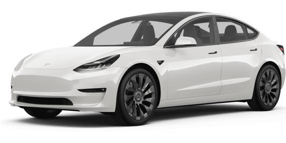 TESLA MODEL 3 2023 5YJ3E1EA4PF404503 image